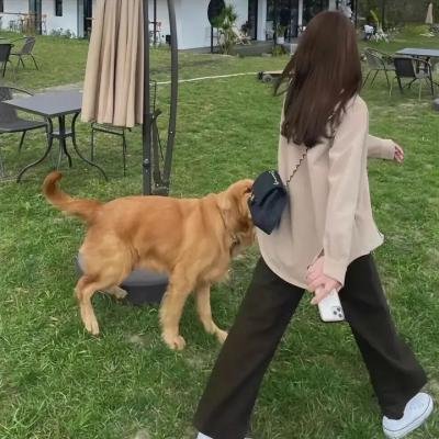 玛拉