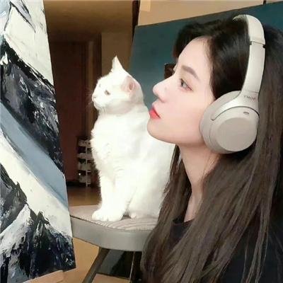 日韩剧集