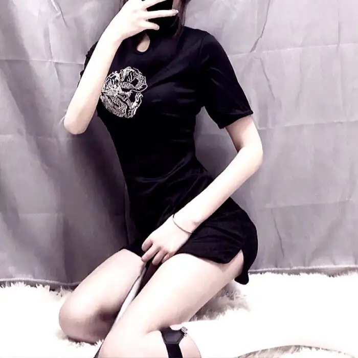 我的老婆是只猫 封面